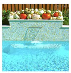 pumpkins and gourds are stacked on top of the edge of a swimming pool