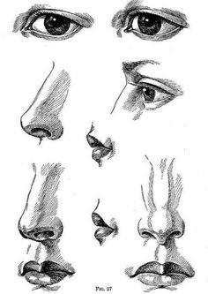 some different types of eyes and nose