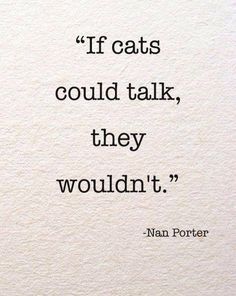 an image of a quote from the book if cats could talk, they wouldn't