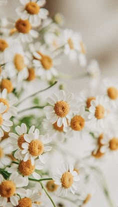 white and yellow flowers are in a vase