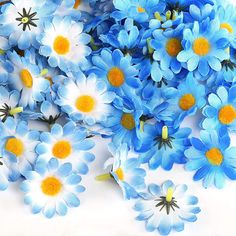 blue and yellow flowers on a white surface