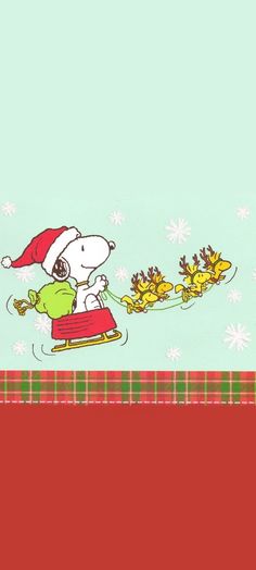 a polar bear riding on a sleigh with santa's helper in the background