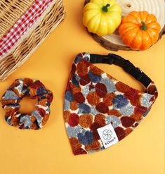 an assortment of pumpkins and gourds sitting on a table next to a basket