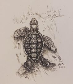 a drawing of a turtle swimming in the water