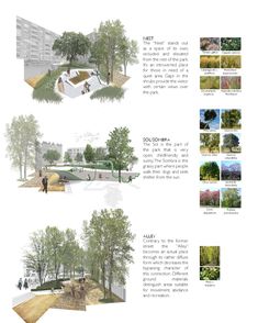 three different views of trees and people walking in the park, with text describing them