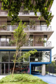 an apartment building with balconies on the second floor and green grass in front