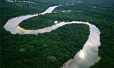 an aerial view of a river surrounded by lush green trees in the middle of nowhere