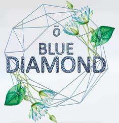 Blue Diamond, Doterra, Vision Board, Blue