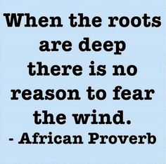 an image with the quote when the roots are deep there is no reason to fear the wind african prove