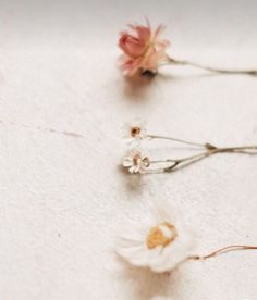 three small white flowers sitting on top of a table next to each other with one flower in the middle