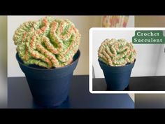 there is a crochet succulent in a pot