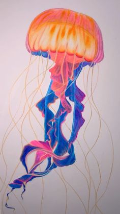 a drawing of a jellyfish on a white background