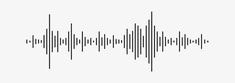 an audio wave is shown in black and white, with the sound equal to it