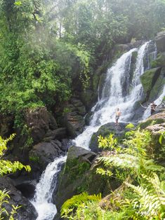 a man standing on top of a waterfall in the middle of a lush green forest