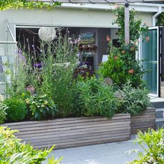 an outdoor garden with various plants and flowers