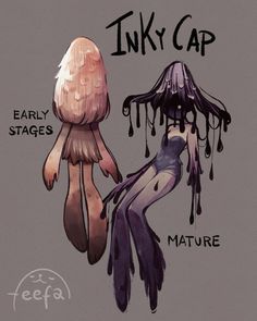 an inky cap with the words, early stages and nature