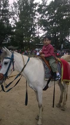 a young boy riding on the back of a white horse in front of a crowd