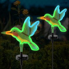 PRICES MAY VARY. DESIGN: These solar garden lights are a stylish addition to any landscaping design. Perfect for lining outdoor garden pathways, or as creative highlights for any patio, lawn, or landscaping project. Included are (2) Hummingbird LED stake lights and (2) ground stakes. EASY TO INSTALL: Each light has (1) solar panel and (1) mounting column. Simply install the ground stake and the solar light on top of the mounting column; see reference video. No additional wires or tools are neces Solar Garden Lamps, Solar Garden Decor, Fake Birds, Pathway Garden, Flamingo Lights, Solar Garden Stakes, Flamingo Garden, Solar Lights Outdoor, Solar Garden Lights