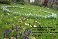 purple flowers are growing in the grass next to a building with a quote on it