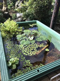 there is a pond with water lilies and plants in the bottom half of it