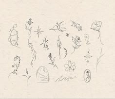 a drawing of various flowers and plants on paper