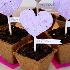 four planters with hearts on them and plants in the middle one is made out of dirt