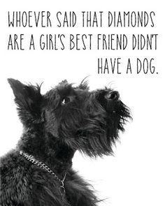 Diamonds? No, Dogs! Brussel Griffon, Scottie Terrier, Black Dogs, Dog Quote, Black Puppy, Scottish Terriers, Scottie Dogs, Scottish Terrier, Terrier Mix