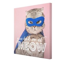 a cat wearing a blue mask with the words you had me at meow