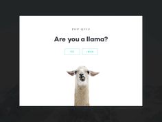 a screen shot of a web page with an image of a llama