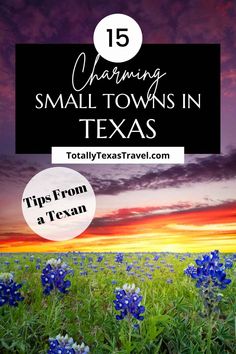 bluebonall flowers with text overlay that reads, 15 charming small towns in texas