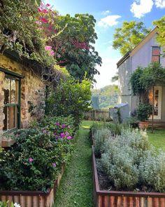 an outdoor garden with lots of plants and flowers in the grass next to a house