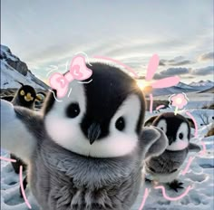 free icon..♪♫ Pet Pfp Aesthetic, Cute Cat For Profile, Easter Profile Pics, Cute Memes Profile Icon, Penguin Icon Aesthetic, Penguin Profile Picture, Cute Penguin Pfp, Cute Pfp Pictures, Pinguin Cute