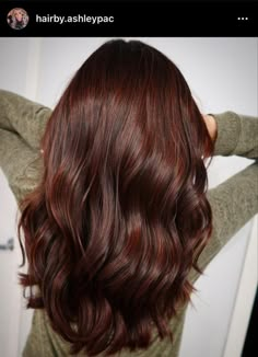 Brunette Reddish Hair, Brown Hair With Red Glaze, Chocolate Brown Hair With Red Lowlights, Brownish Redish Hair Color, Reddish Chestnut Brown Hair, Chestnut Auburn Brown Hair, All Over Red Brown Hair Color, Reddish Brown Hair Color Ideas, Mocha Red Brown Hair