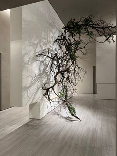 an artistic sculpture is shown in the middle of a room with white walls and wood floors