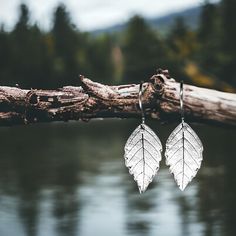 You can't get any closer to nature than this. These earrings were crafted from a birch tree from our surrounding woods. The leaf is preserved and imprinted into the silver, so every one is unique, just as they are in nature. These earrings are sure to be a show piece and are perfect for anyone loving nature and the natural beauty of brilliant gold in the fall. All of my earrings are 99.9% fine silver and dangle on sterling silver ear wires. They come with a pair of clear rubber stoppers to insure your earrings don't go astray.  A bit about my jewelry . . . Each of my creations is carefully and lovingly hand-crafted in my home studio (under the name Natural Inspiration) and takes approximately three days to complete from beginning to end, not including design time. The medium I work with is Handmade Leaf-shaped Nature-inspired Earrings, Nickel-free Leaf-shaped Nature-inspired Earrings, Silver Nature-inspired Everyday Earrings, Silver Nature-inspired Earrings For Everyday, Nature-inspired Hypoallergenic Leaf Earrings, Silver Everyday Nature-inspired Earrings, Everyday Silver Nature-inspired Earrings, Nature-inspired Sterling Silver Earrings, Nickel-free Leaf-shaped Sterling Silver Earrings