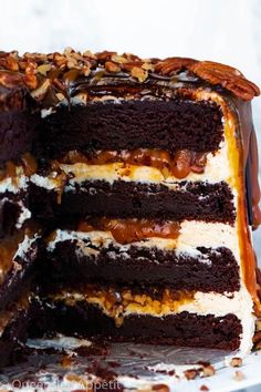 a chocolate cake with white frosting and nuts on top