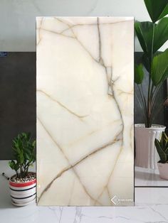 a white marbled card on a table next to potted plants and a planter