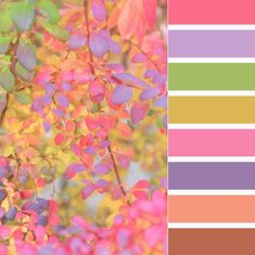 a color palette with different shades of pink, yellow and green leaves on the branches