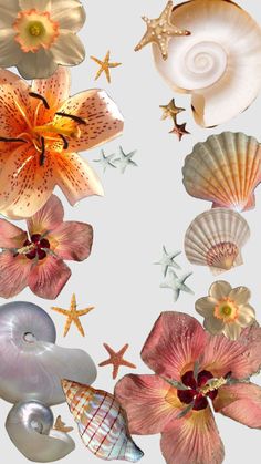 an arrangement of seashells and flowers on a white background