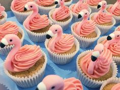 cupcakes decorated with pink frosting and flamingos on blue paper wrappers