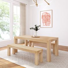 a wooden table with two benches in front of it and a potted plant on top