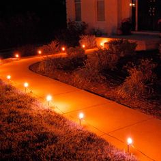 some lights that are on the side of a road in the grass and bushes at night