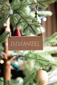 an ornament hanging from the top of a christmas tree