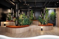 an office lobby with plants and lights on the walls, along with wooden flooring