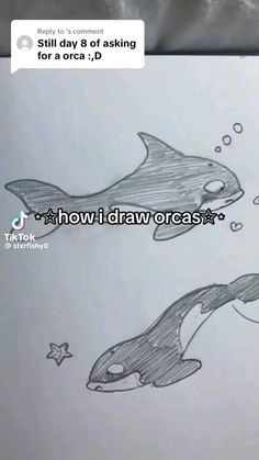 two dolphins swimming next to each other with the caption still day of asking for a draw