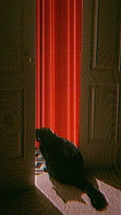 a black bird sitting on top of a window sill next to a red curtain