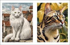 two paintings of cats one is white and the other is brown