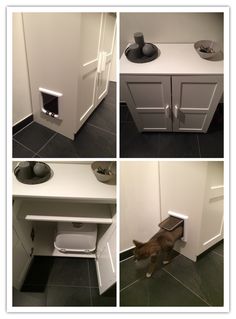 four different pictures of a cat hiding in a cabinet