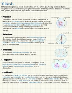 an info sheet describing the different types of cell phones and how they are connected to each other