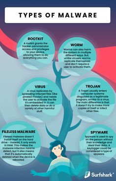 the different types of malware